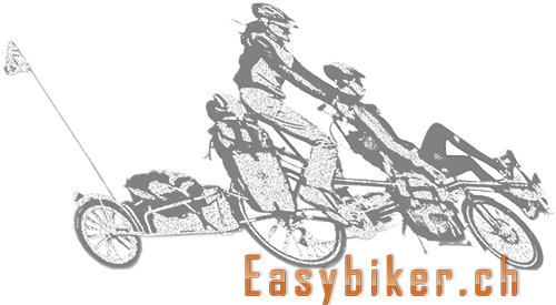 2017 06 05 Logo Easybiker 500