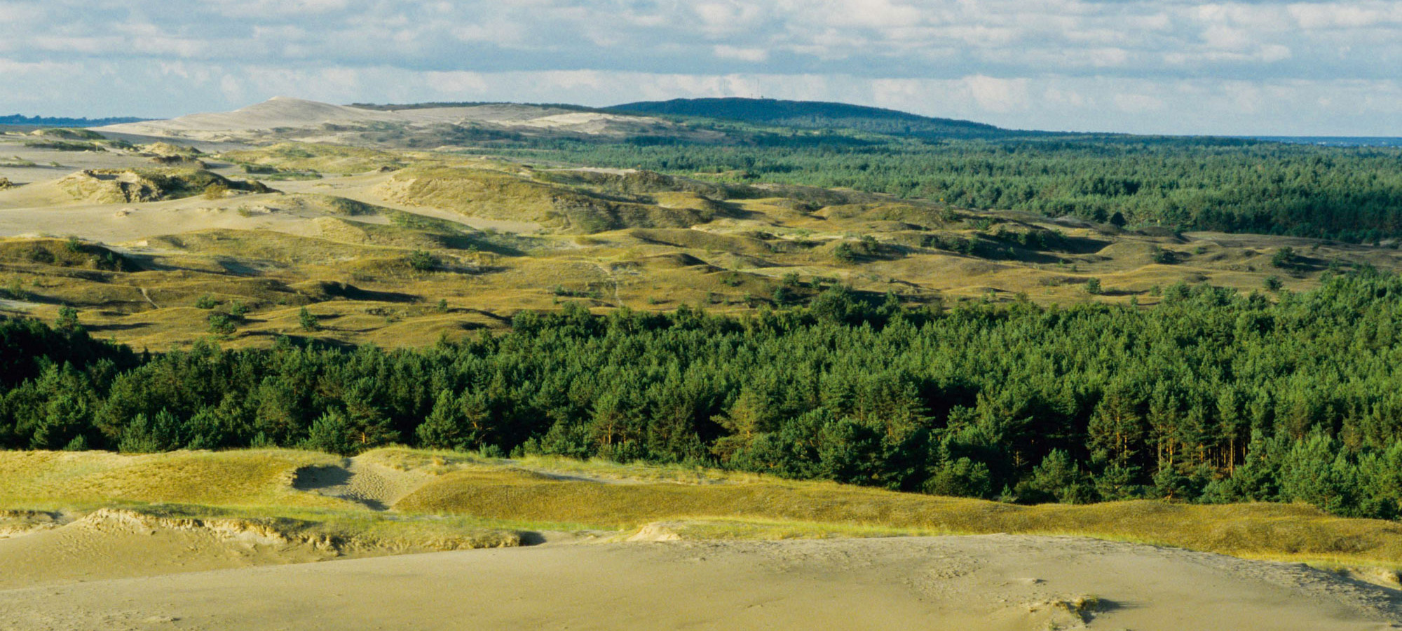 Kurische Nehrung Grosse Duenen Am  Morgen